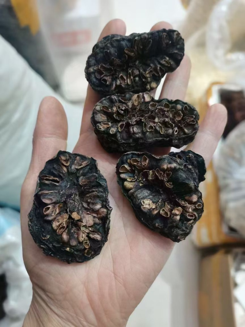 云南诺丽果批发大量现货诺丽果西双版纳特产孝素新鲜水果新货
