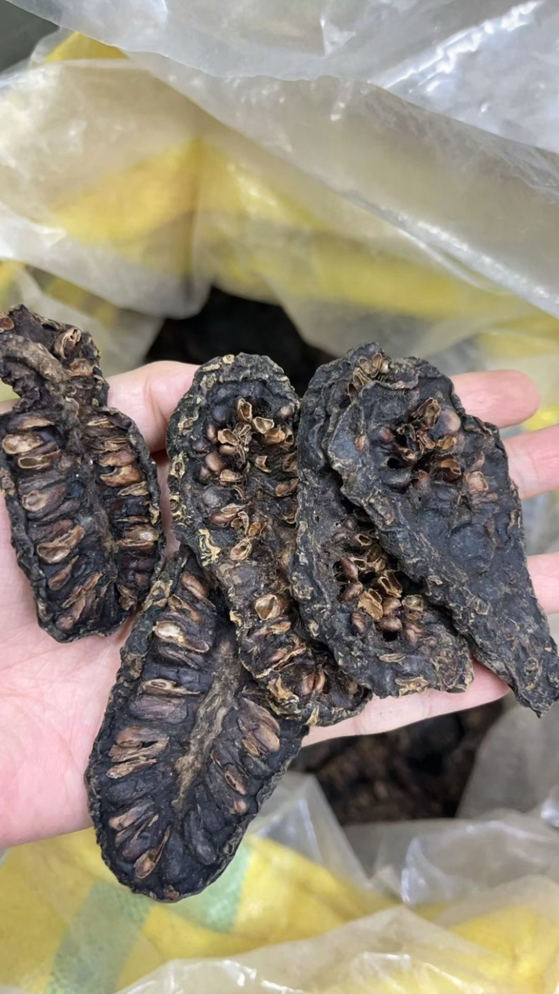 云南诺丽果批发大量现货诺丽果西双版纳特产孝素新鲜水果新货