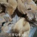 不带勾牛小货