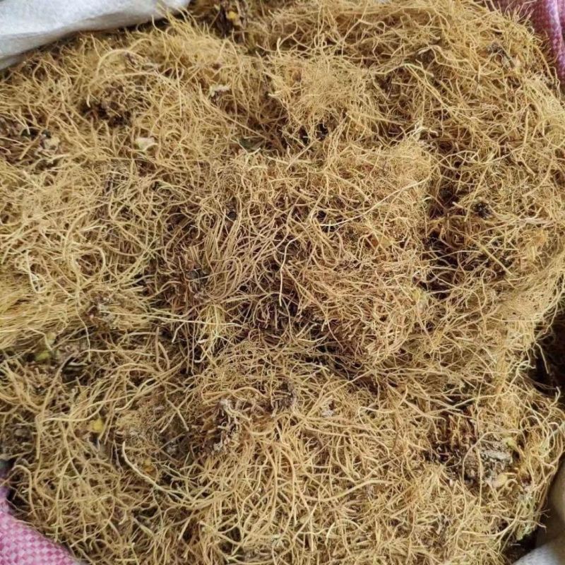 辽细辛正品精选辽细辛中药材头茬新货干净无杂质