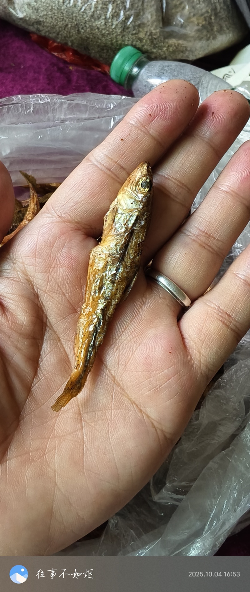 麻嫩子