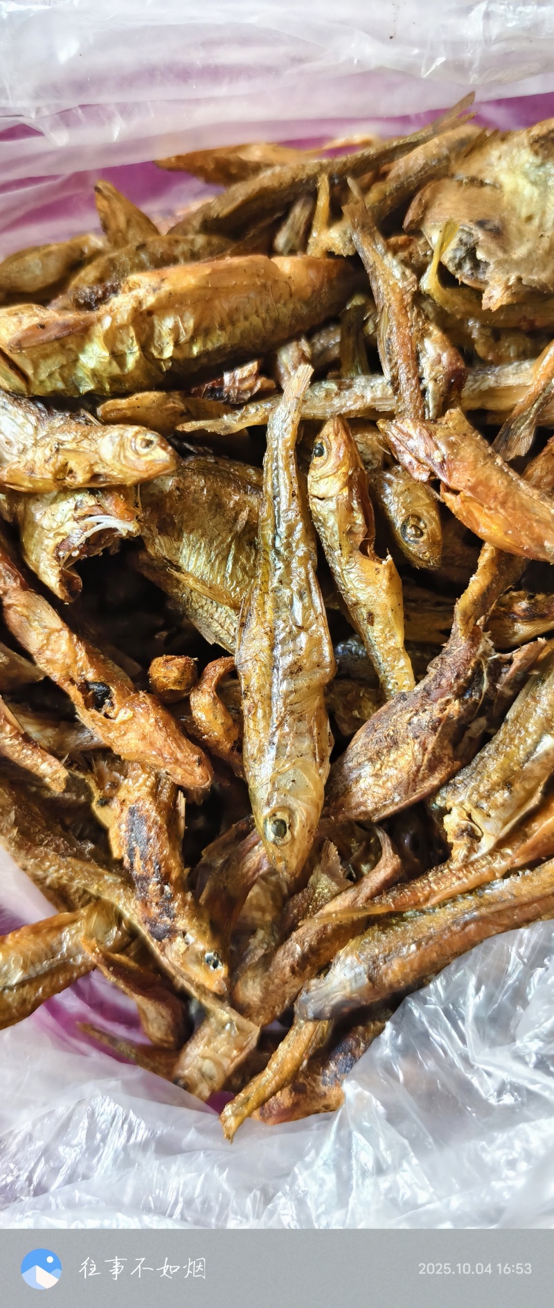 麻嫩子