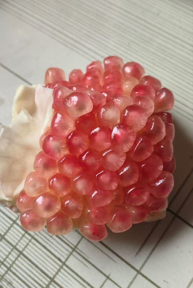 临潼石榴