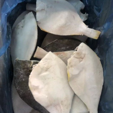 精品鲽鱼