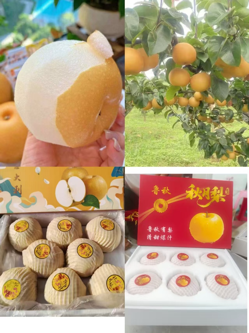 秋月梨