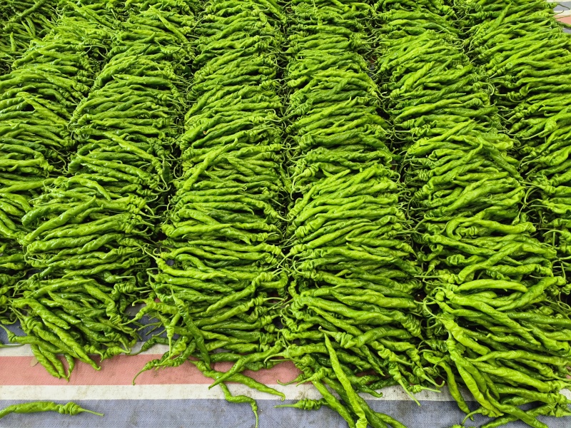 精品螺丝椒