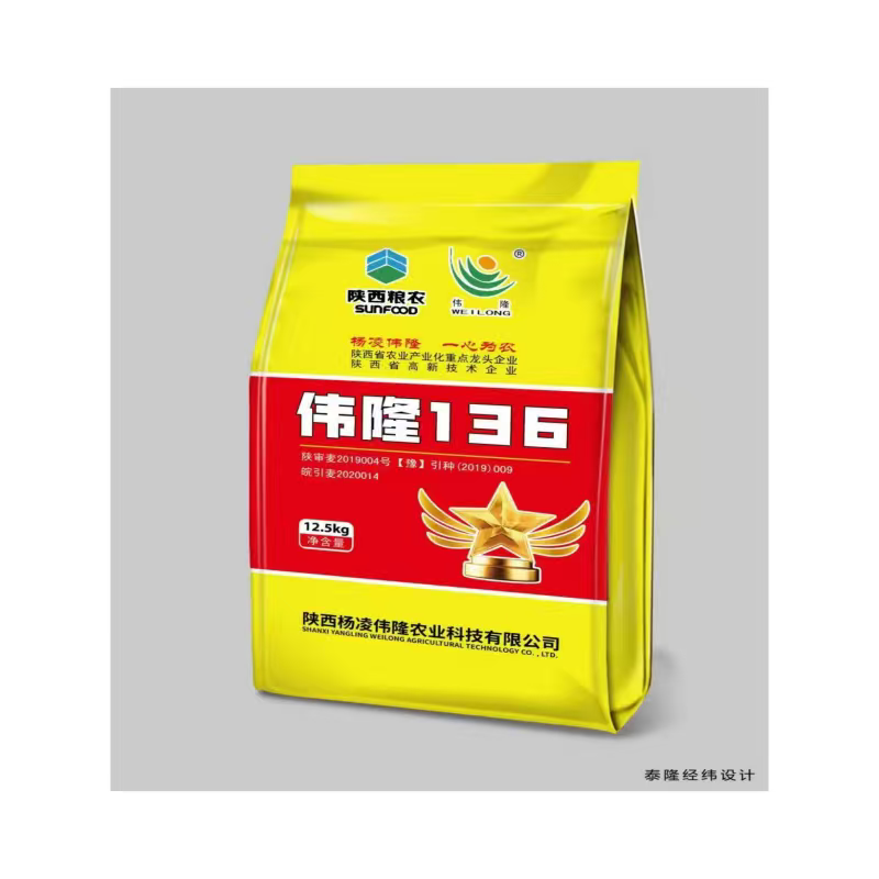 河南小麦种子伟龙136小麦种子高产抗寒抗旱稳产