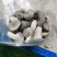 秀珍菇精品