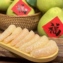 度尾文旦柚苗