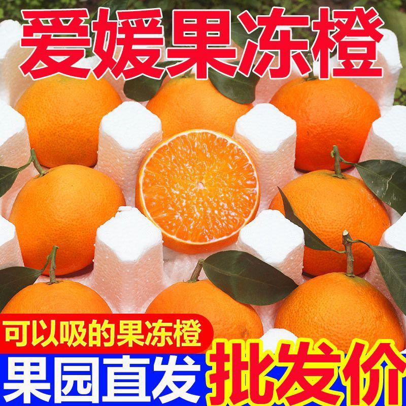 四川眉山爱媛果冻橙，对接商超，电商，一件代发