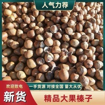 精品手拍山榛子，可视频看货，可发物流货站，有量优惠