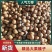 精品手拍山榛子，可视频看货，可发物流货站，有量优惠