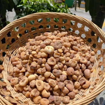 玉皇丹