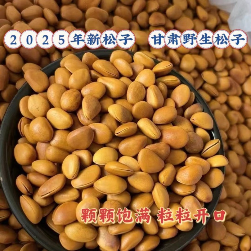 2025年甘肃陇南野生华山开口松子新货，批发零售