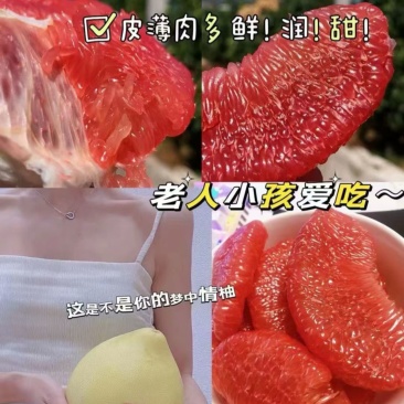 三红柚
