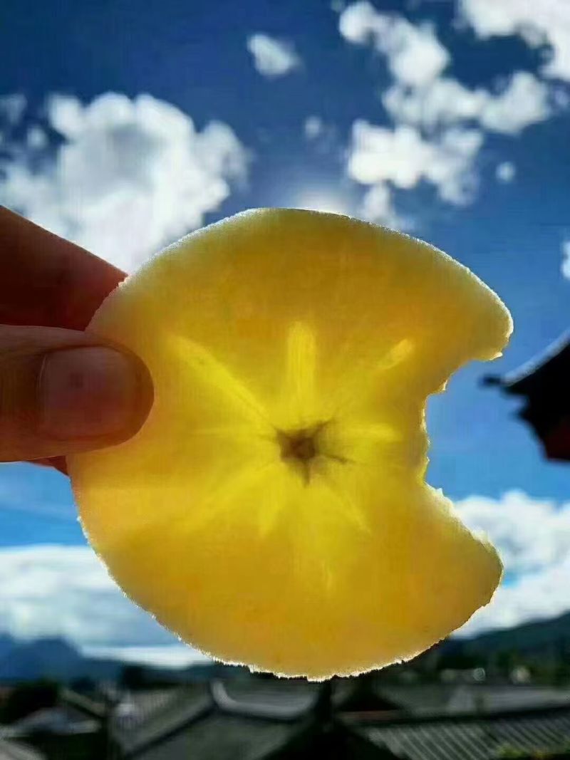丽江丑苹果，自家种植，保质保量，诚信经营，量大从优
