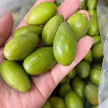 潮汕青橄榄一件代发对接电商快手抖音视频号拼多多