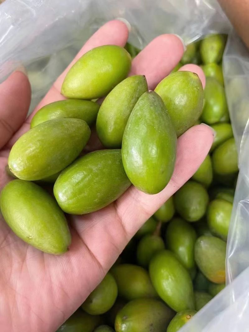 潮汕青橄榄一件代发对接电商快手抖音视频号拼多多