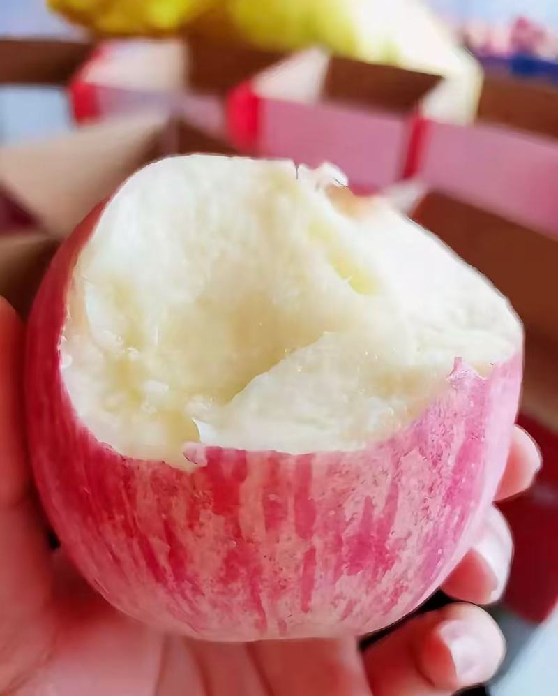 自家产的苹果，就几千斤，果子口感脆甜，
