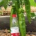 川椒301辣椒种子春秋播大果牛角椒种籽耐热泡椒蔬菜种籽中