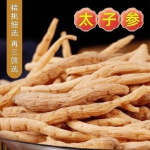 太子参正品太子参中药材太子参孩儿参娃娃参贵