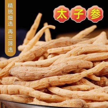 太子参正品太子参中药材太子参孩儿参娃娃参贵