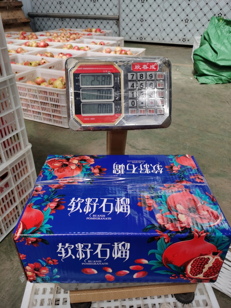 云南突尼斯软籽石榴（果子净重2.5公斤）