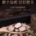 石菖蒲山菖蒲石昌朴正品野生石菖蒲九节菖浦质量保证包邮中药