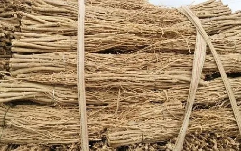 黄芪毛芪白条芪精品黄芪甘肃黄芪规格齐全量大从优，全年发货