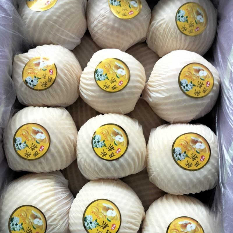 一级品秋月梨