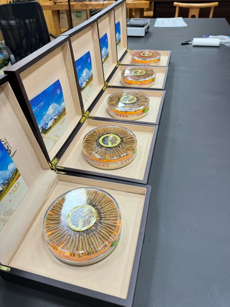 那曲精品虫草送礼佳品滋补品源头货源直供，品质保证