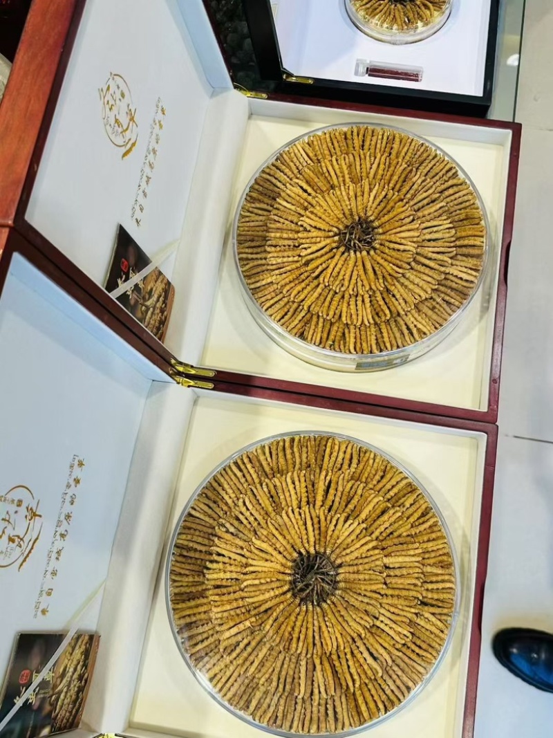 那曲精品虫草送礼佳品滋补品源头货源直供，品质保证