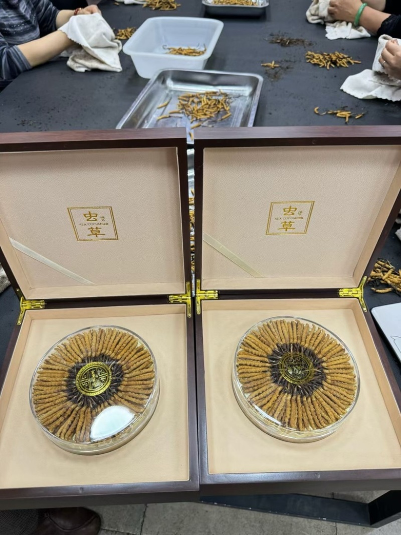 那曲精品虫草送礼佳品滋补品源头货源直供，品质保证
