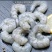 速冻单冻青虾仁便宜大量批发常年大量有货