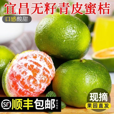 宜昌无籽蜜橘青皮桔子酸甜应季新鲜水果现摘整