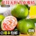 宜昌无籽蜜橘青皮桔子酸甜应季新鲜水果现摘整