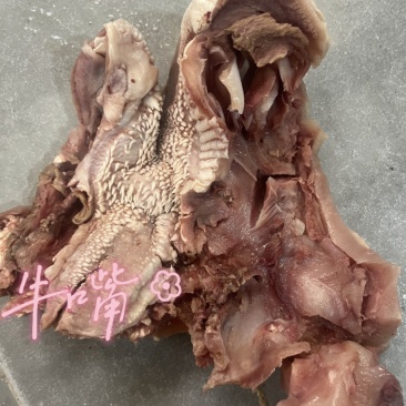 熟牛嘴可炒制、卤制等口感劲道饭店佳选