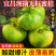 宜昌无籽蜜橘青皮桔子酸甜应季新鲜水果现摘整
