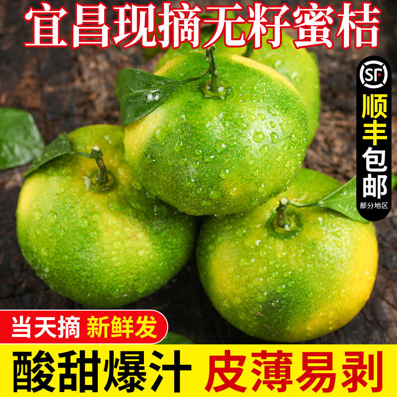 宜昌无籽蜜橘青皮桔子酸甜应季新鲜水果现摘整