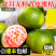 宜昌无籽蜜橘青皮桔子酸甜应季新鲜水果现摘整