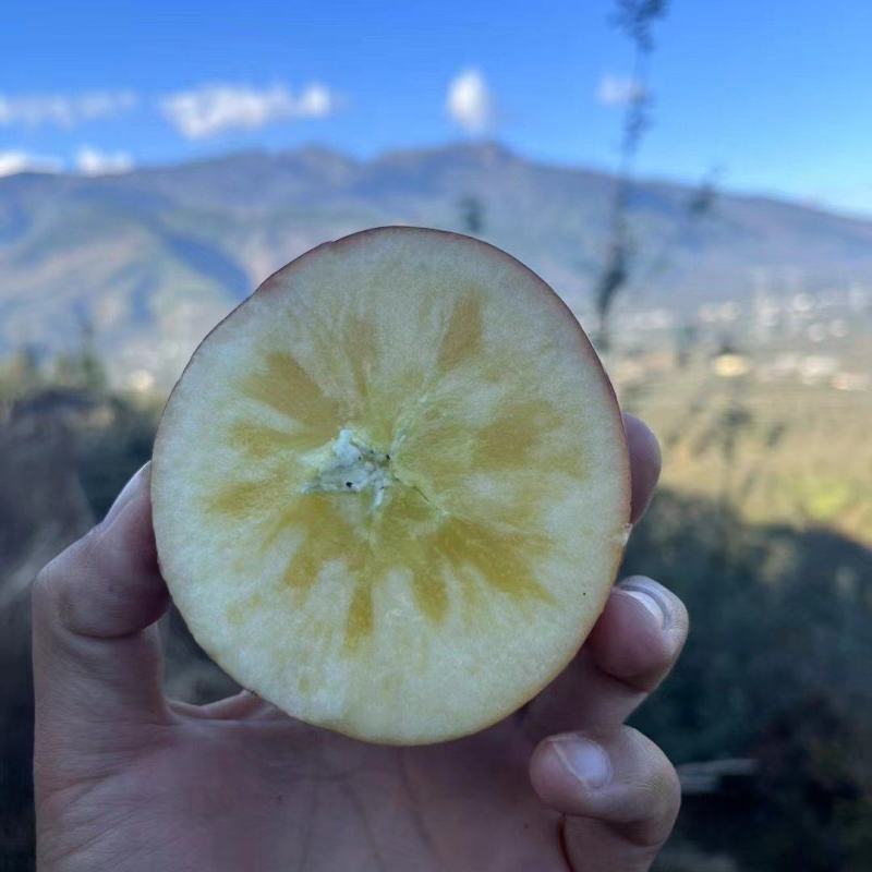 大凉山丑苹果冰糖心开始了