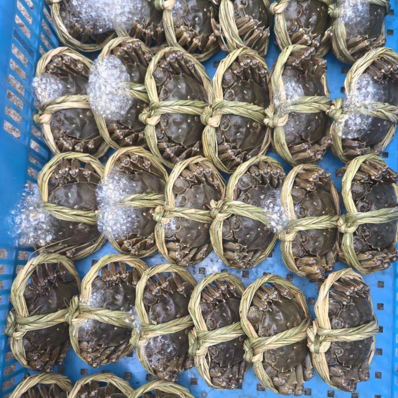 大闸蟹