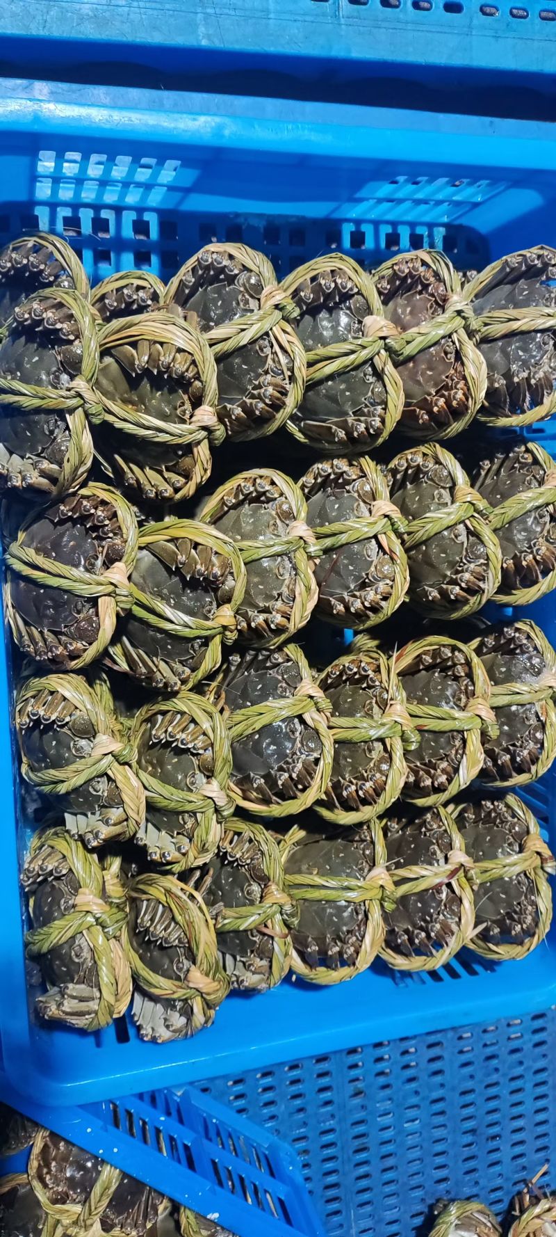 大闸蟹