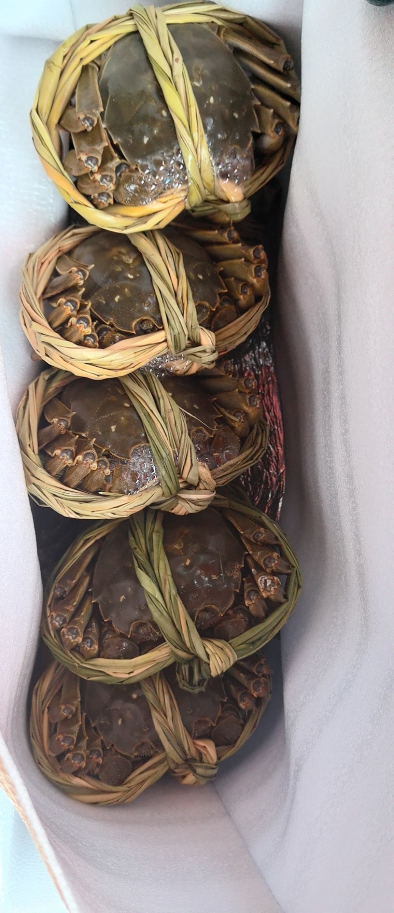 大闸蟹