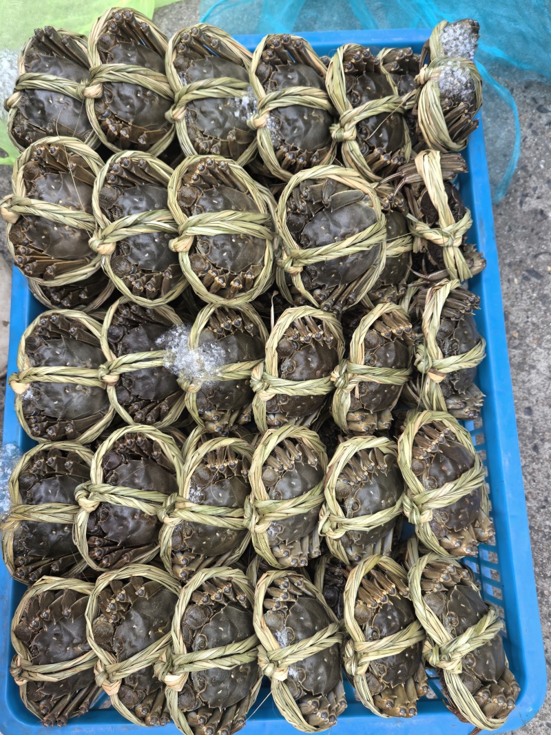 大闸蟹