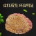 红皮甘草精选甘草圆片内蒙古产地甘草片新货无硫甘草