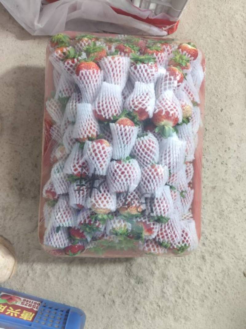 草莓