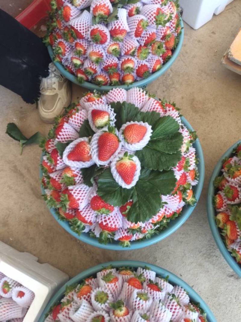 草莓