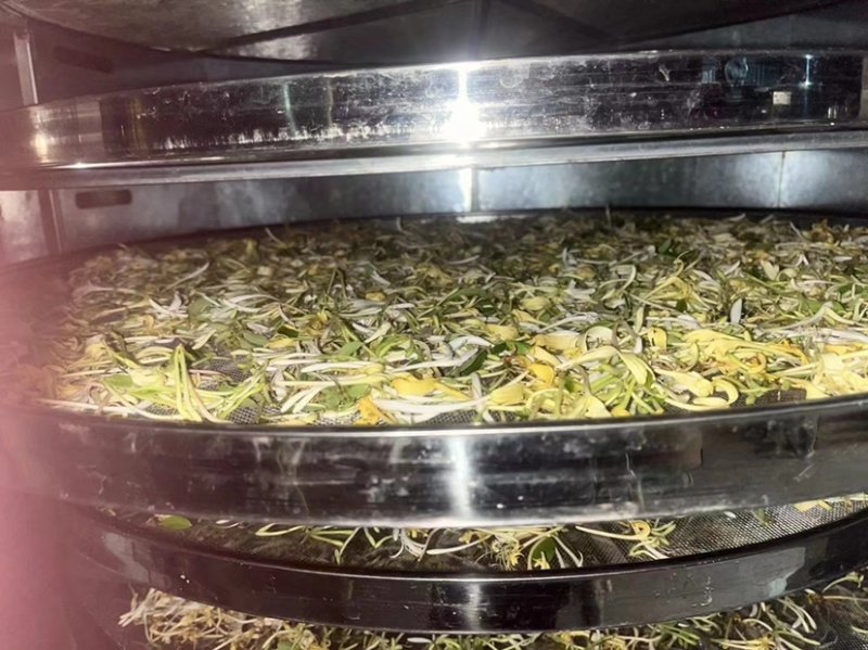 云南野生金银花批发颜色好无碎香气足大量现货今年新货批发