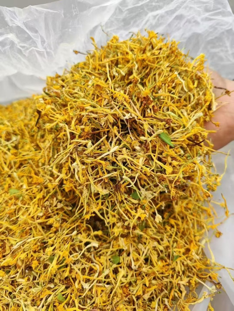 云南野生金银花批发颜色好无碎香气足大量现货今年新货批发